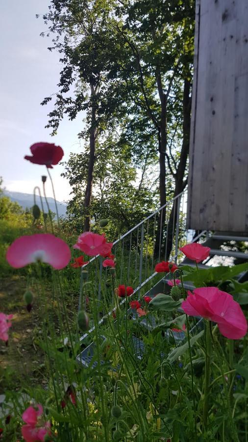 Treehut, Nature, Birds, Silence And Fjord Samlanes Exterior photo