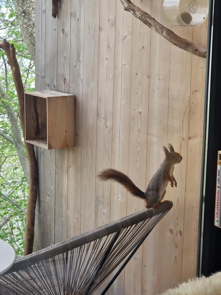 Treehut, Nature, Birds, Silence And Fjord Samlanes Exterior photo